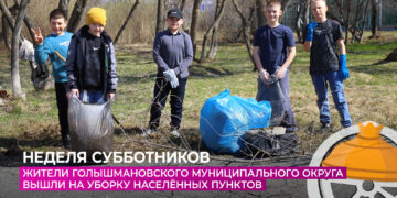 Жители Голышмановского округа вышли на уборку населённых пунктов