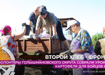 Волонтёры Голышмановского округа собрали урожай картофеля для бойцов СВО