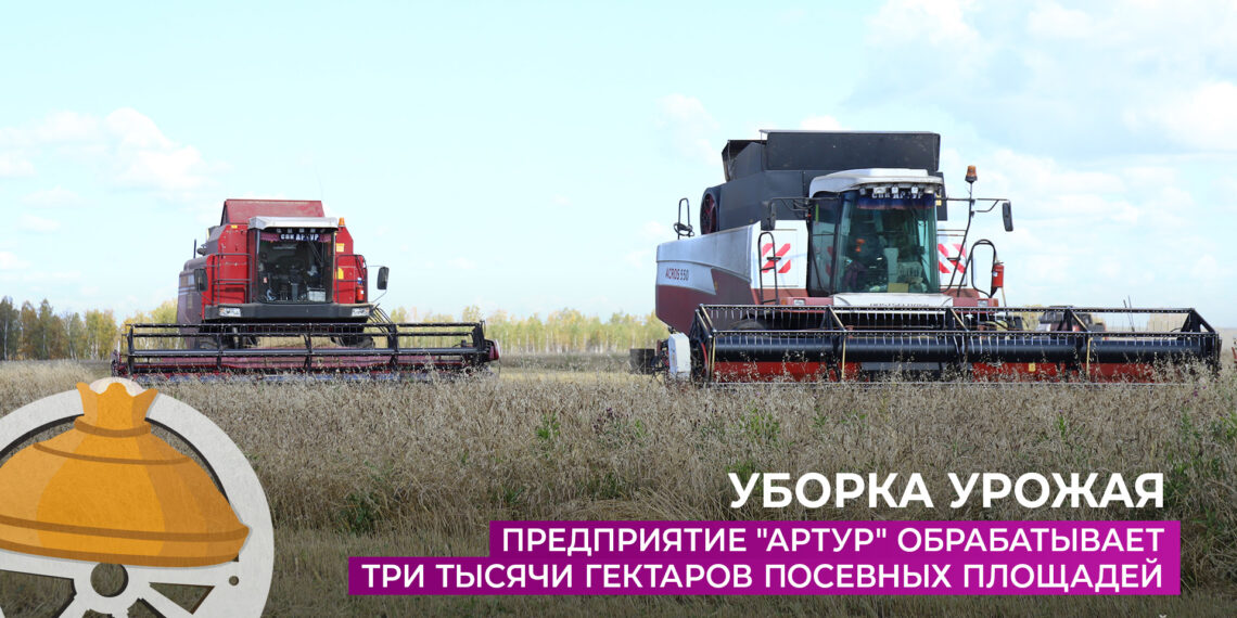 СПК «Артур» обрабатывает три тысячи гектаров посевных площадей