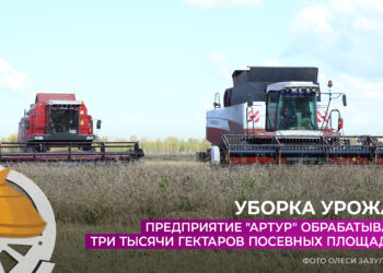 СПК «Артур» обрабатывает три тысячи гектаров посевных площадей