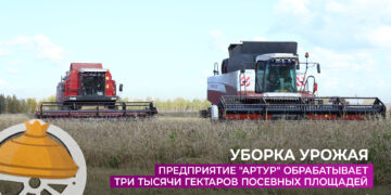 СПК «Артур» обрабатывает три тысячи гектаров посевных площадей