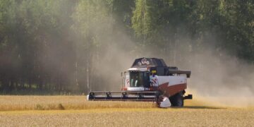 92,5 тысячи тонн зерна нового урожая собрали аграрии Голышмановского округа
